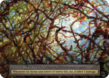 Briar Patch [ART - 000]